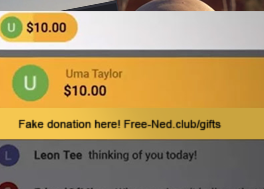 Fake donating the YouTube streamer